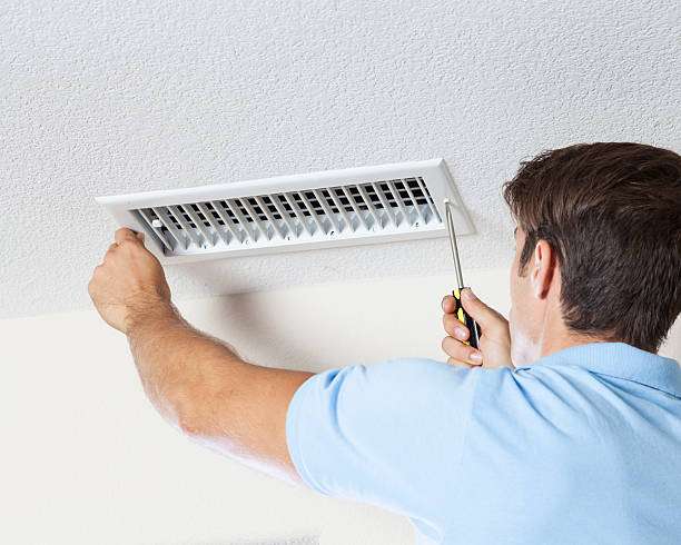 Best Comprehensive Air Testing for Mold Contaminants  in Dadeville, AL