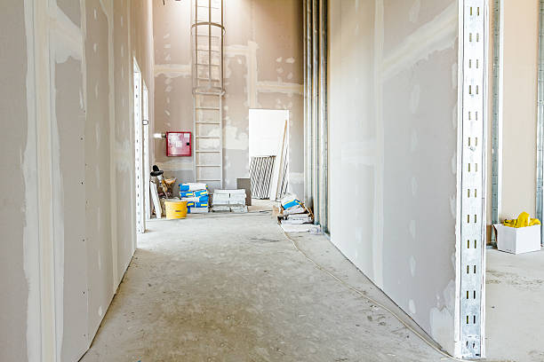 Best Emergency Mold Remediation  in Dadeville, AL