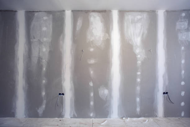 Best Mold Remediation for Healthcare Facilities  in Dadeville, AL
